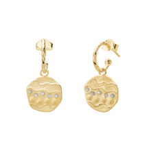 Load image into Gallery viewer, Ocean Dreamer Earrings - GOLD