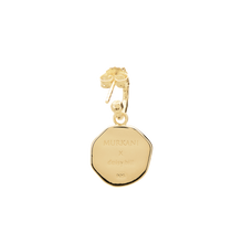 Load image into Gallery viewer, Ocean Dreamer Earrings - GOLD
