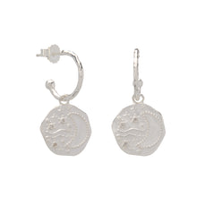 Load image into Gallery viewer, Night Sky Earrings - SILVER
